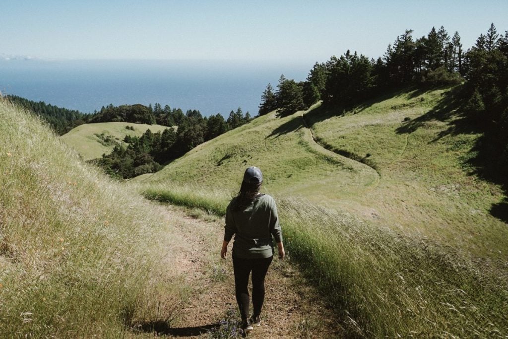 My Favorite Trails in Mount Tamalpais