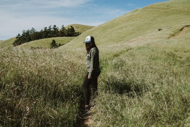 My Favorite Hiking Trails in Mount Tamalpais My Favorite Trails in Mount Tamalpais