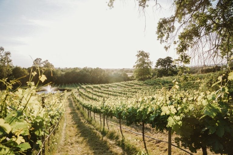 A Road Trip Guide to Gold Country, California 7 Epic California Road Trips to Take this Summer
