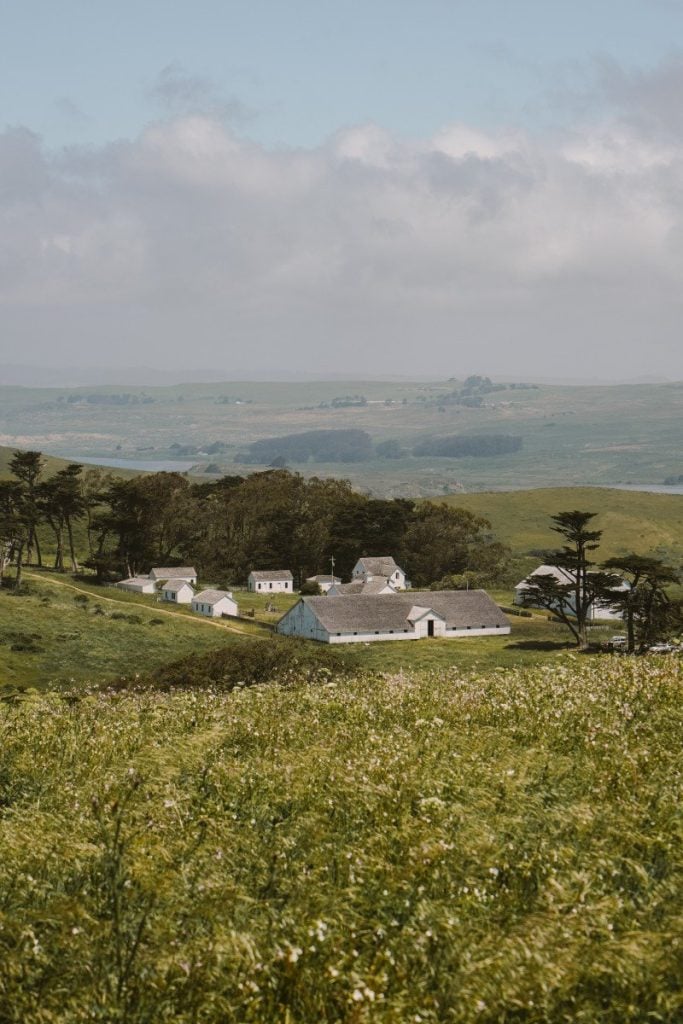 A Weekend Guide to Point Reyes Station, California
