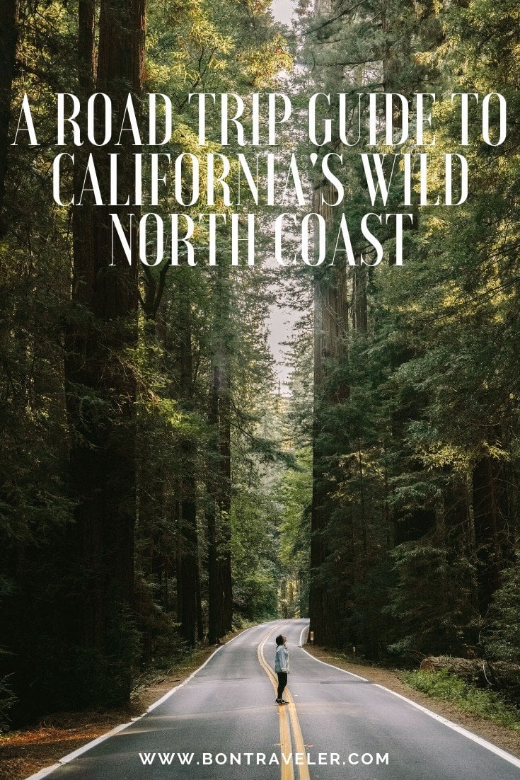 A Road Trip Guide to California's Wild North Coast