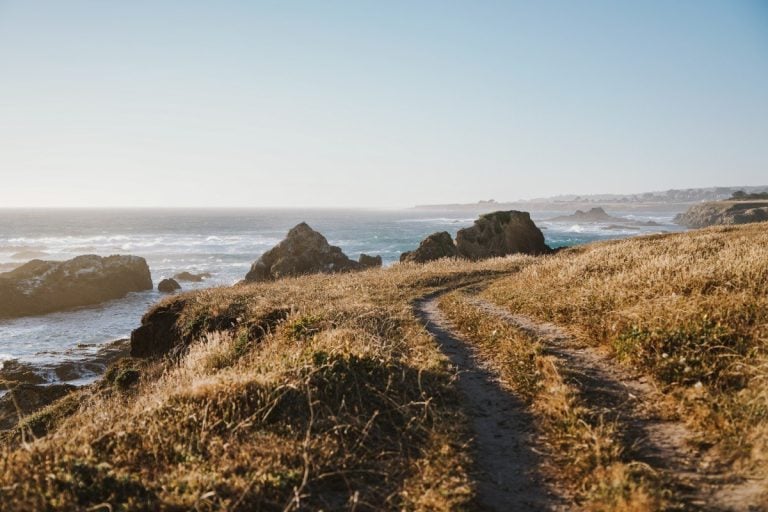 15 Best Things to Do in Mendocino, California 15 Best Things to Do in Mendocino, California