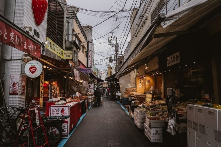 The Alternative Guide to Tokyo The Alternative Guide to Tokyo