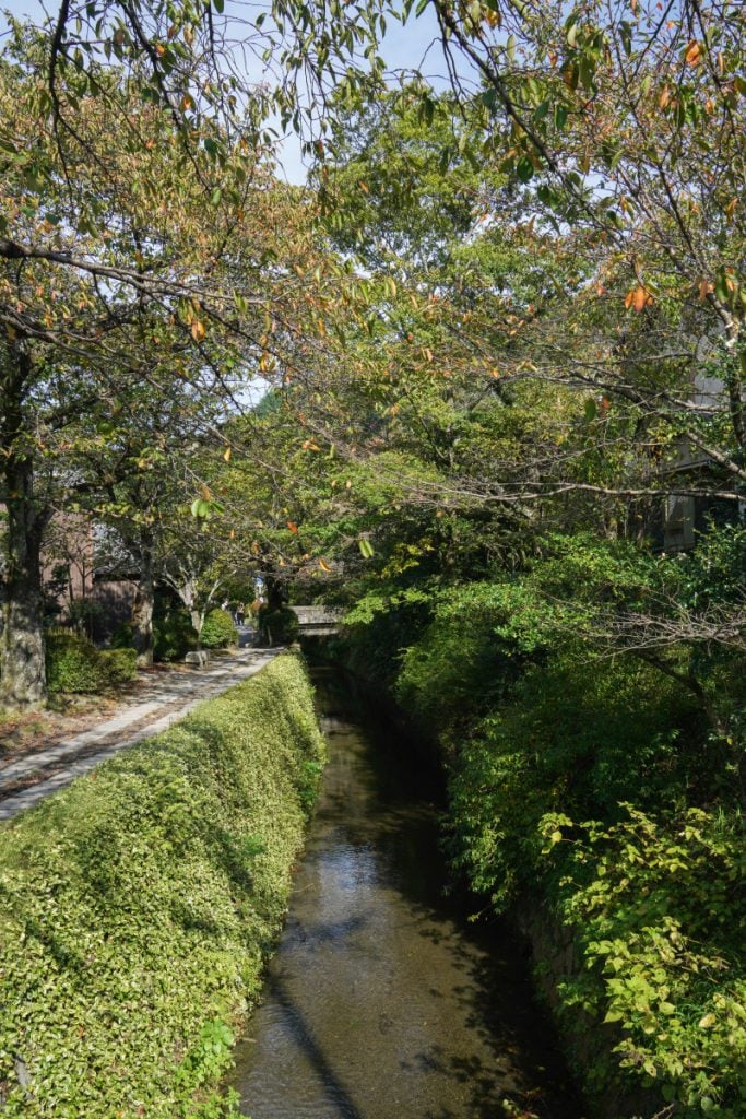 Where to Stay in Kyoto: Best Areas & Hotels