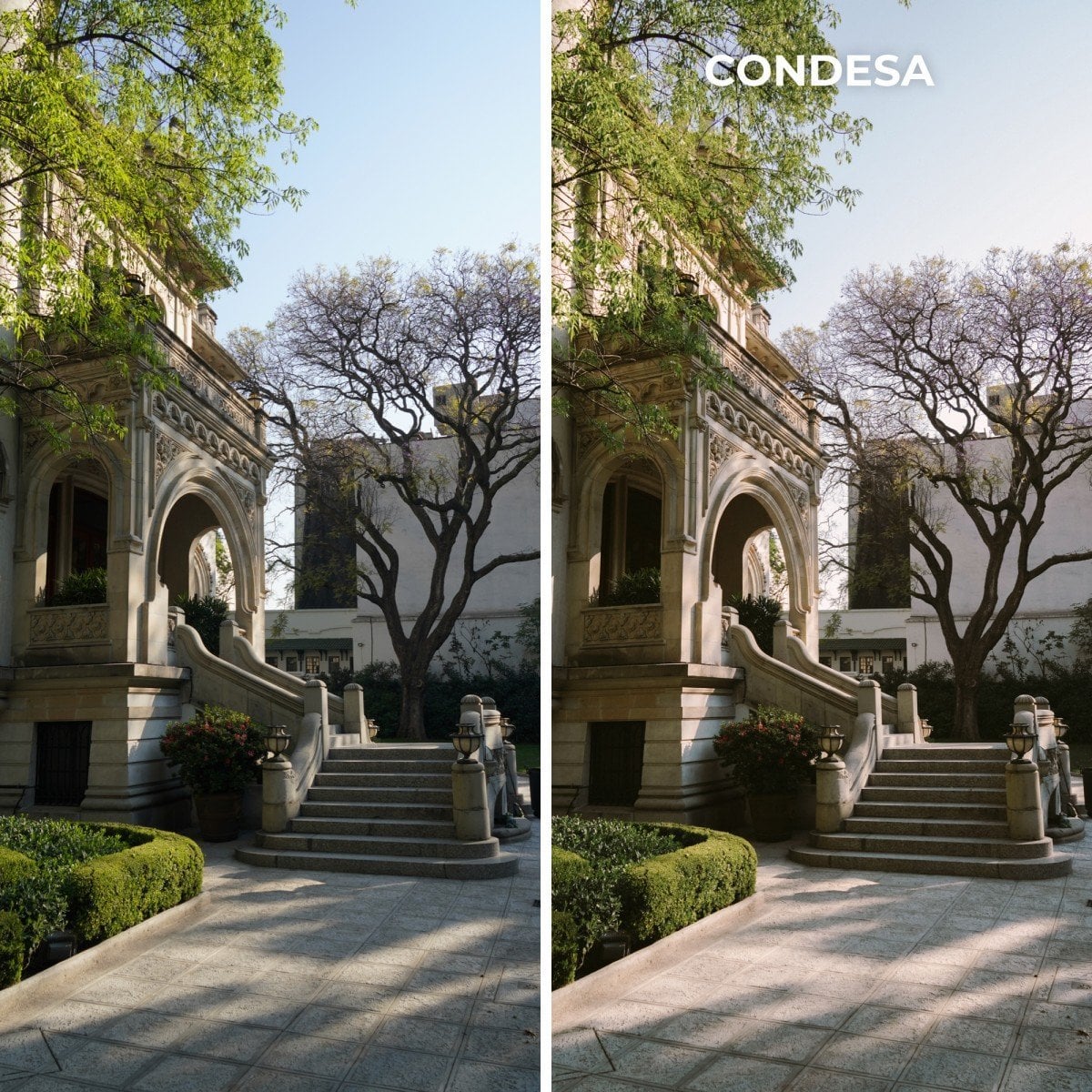 CDMX Collection (Mobile) - Image 2