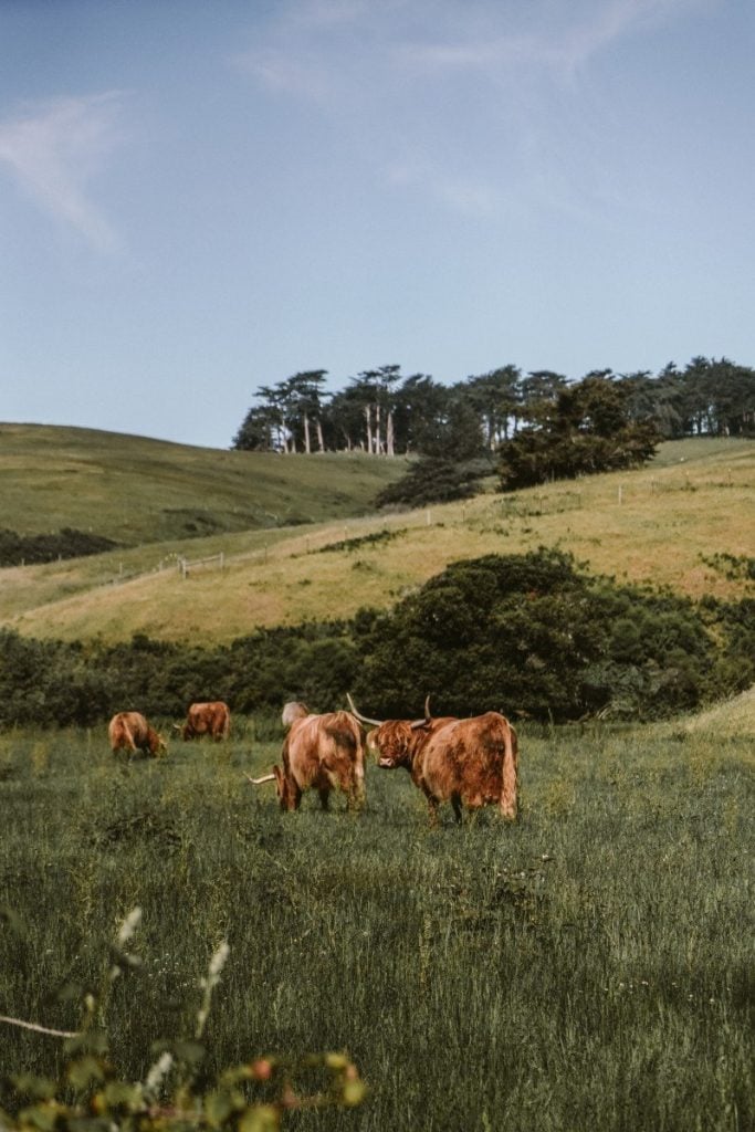 13 Epic Weekend California Getaways