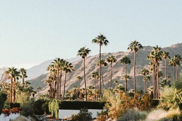 10 Incredible Airbnbs to Rent in Palm Springs