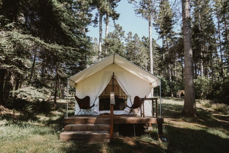 50+ Epic Things to Do in California