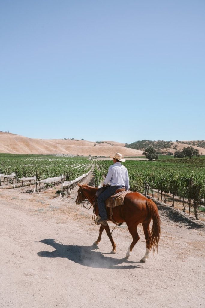 Staying at a Winery in Paso Robles: Geneseo Inn