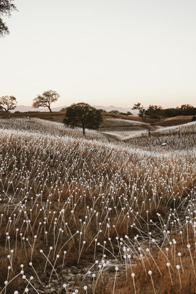 The Design Lover's Guide to a Central California Road Trip