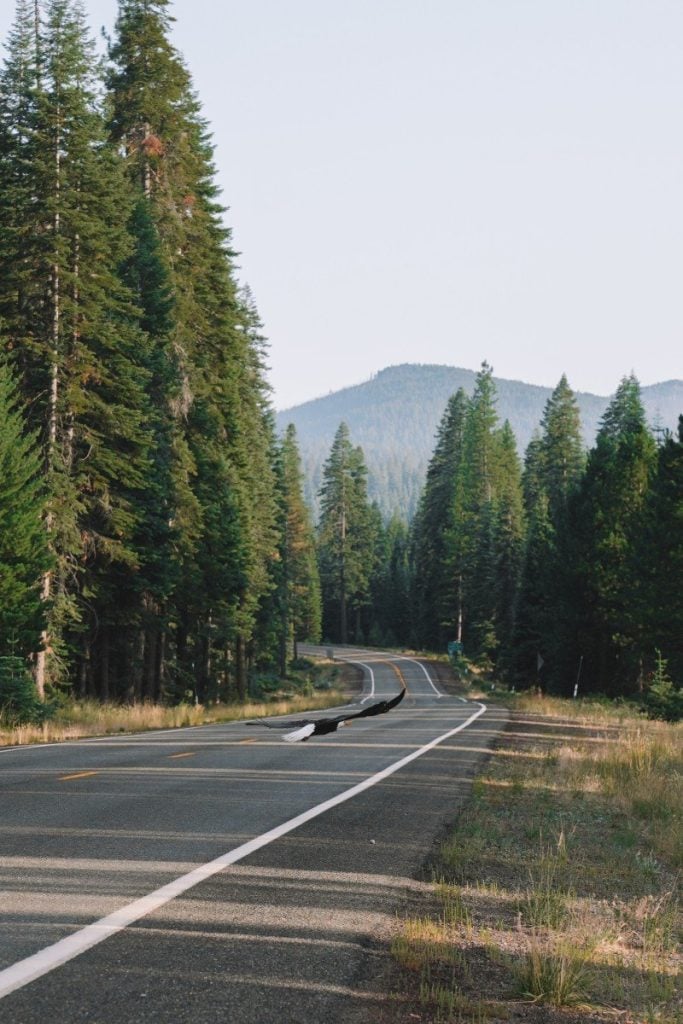 A Guide to Visiting Lassen Volcanic National Park