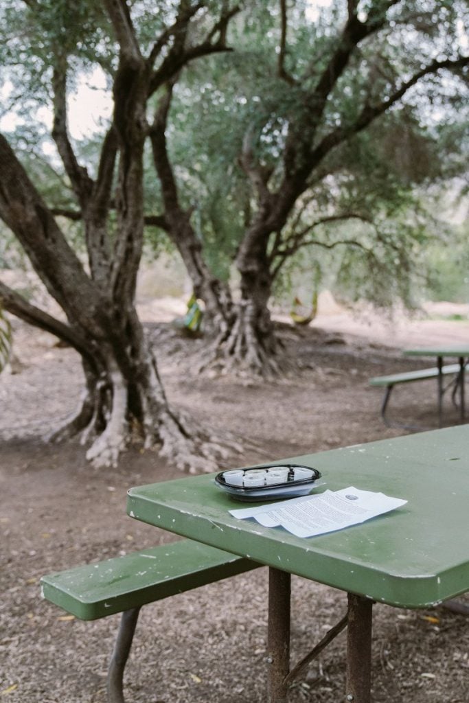 Road Trip Guide to Santa Barbara, Ventura, and Ojai