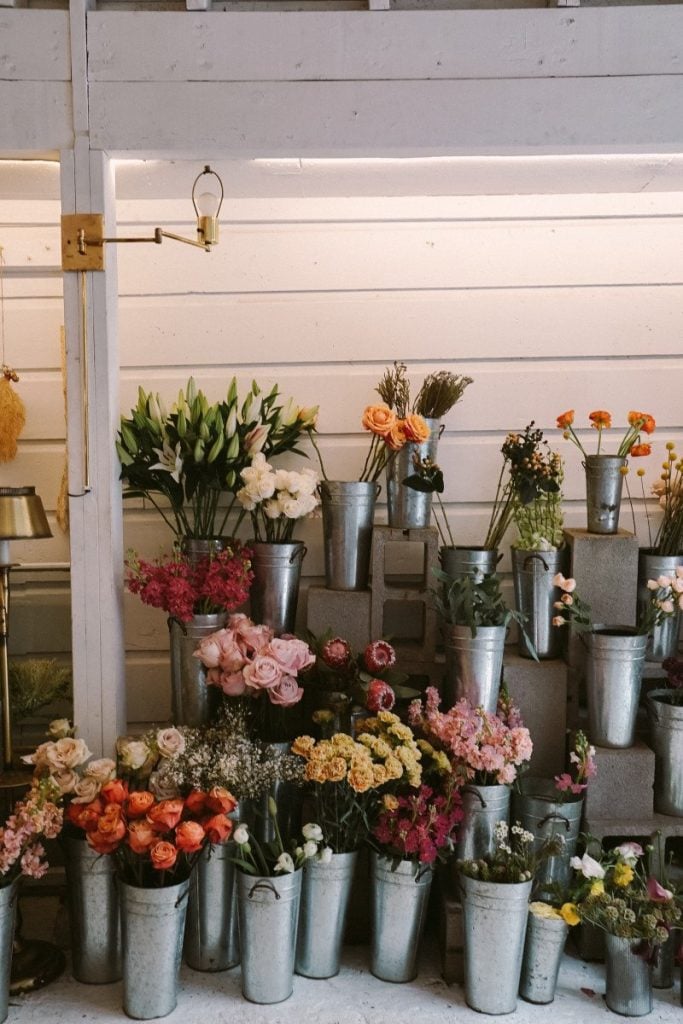 Travel Guide to San Francisco