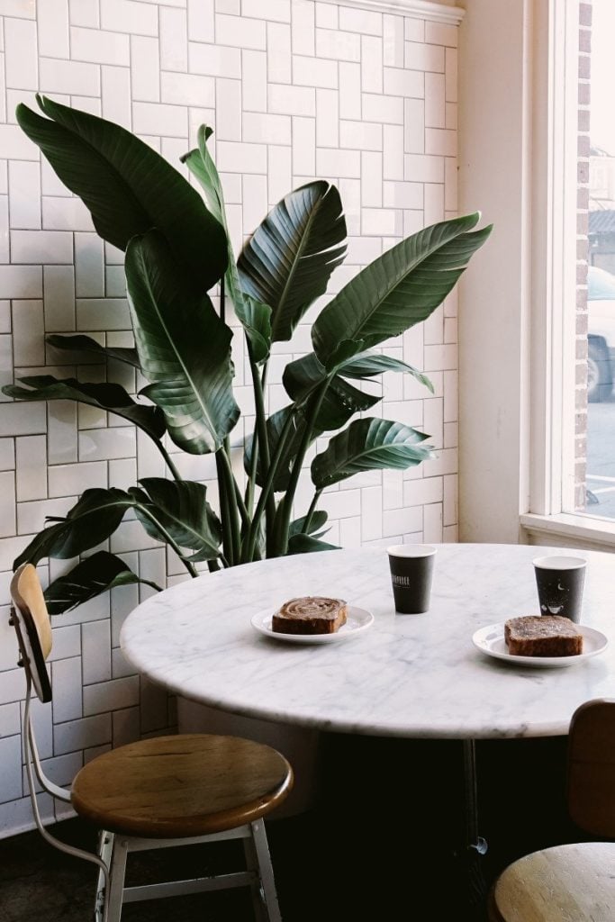 Travel Guide to San Francisco