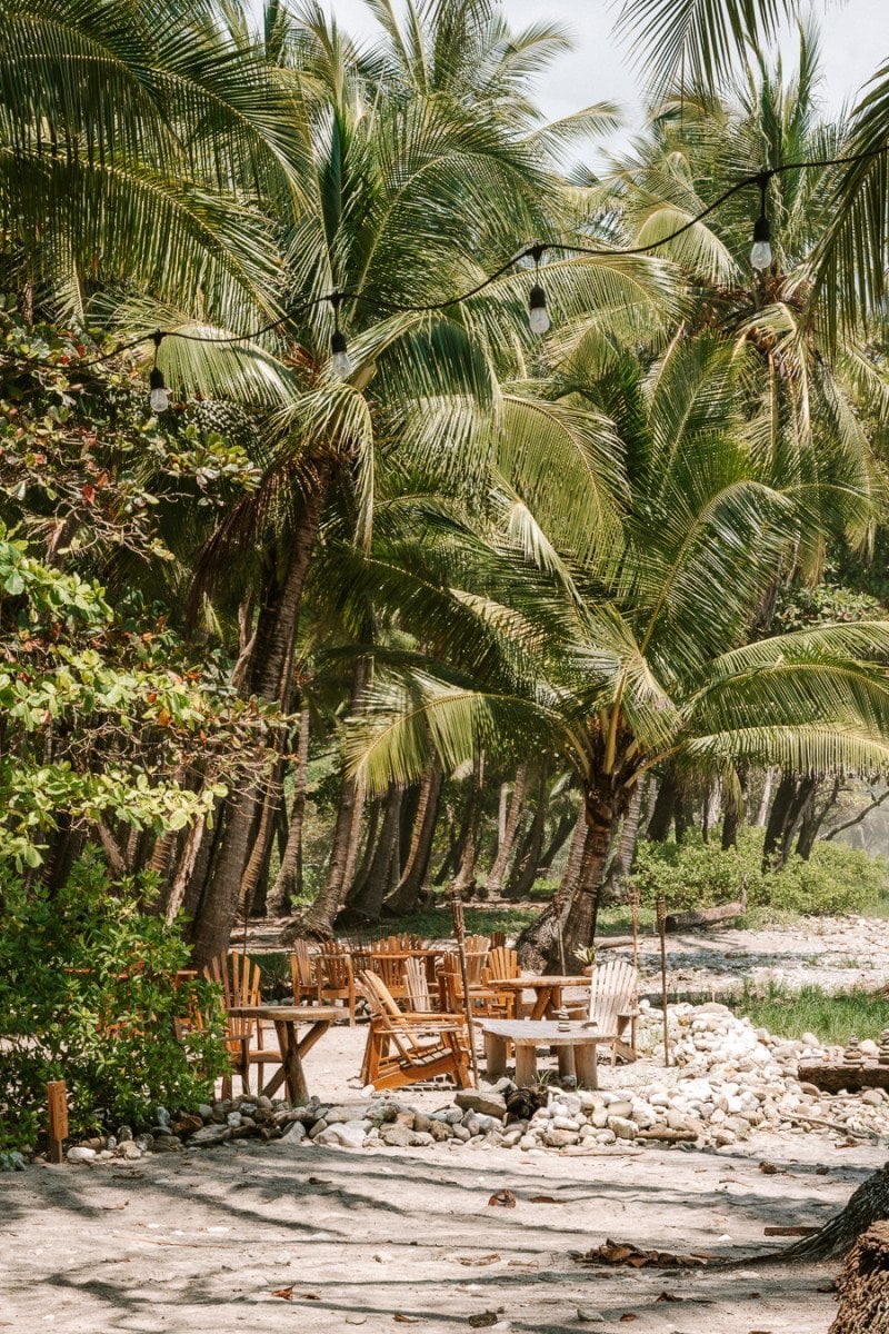 The Ultimate Travel Guide to Santa Teresa, Costa Rica 