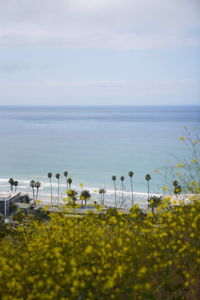 Road Trip Guide to Central California