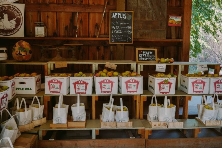 The Best Things to Do in Apple Hill in the Fall The Best Things to Do in Apple Hill in the Fall