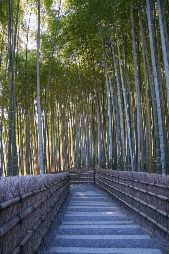 30 Incredible Things to Do in Kyoto, Japan