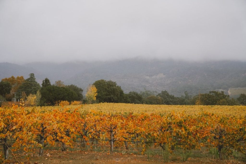 The Ultimate Travel Guide to Sonoma, California