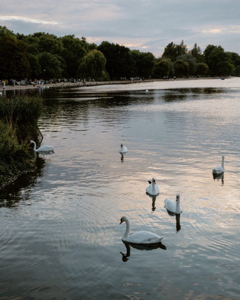 The 15 Essential Things to Do in London