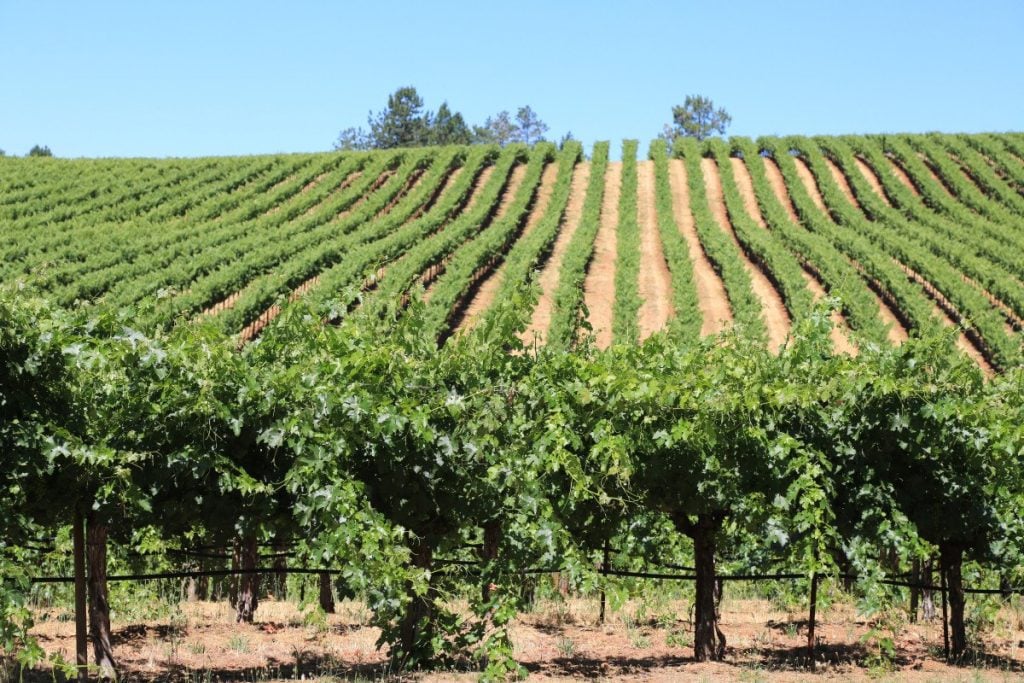15 Best Things to Do in Mendocino, California