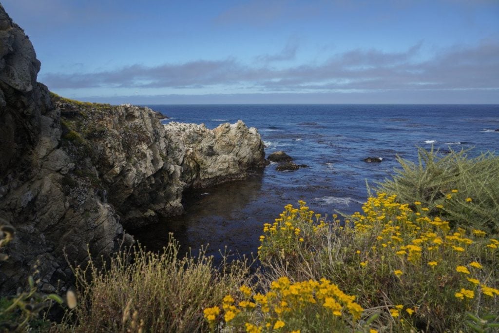 Tips For Visiting Point Lobos State Natural Reserve, Carmel