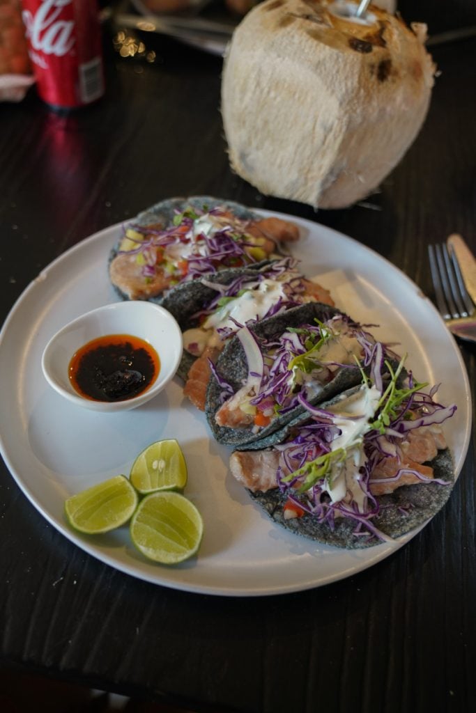 Troncones Mexico Travel Guide