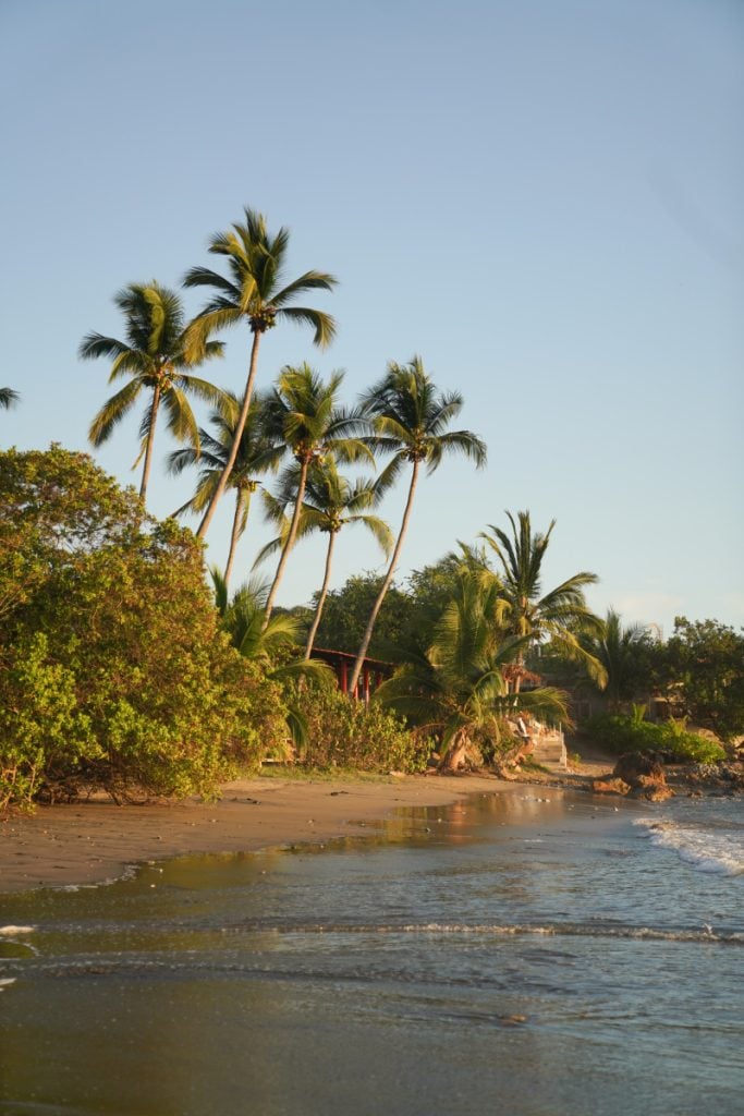 Troncones Mexico Travel Guide
