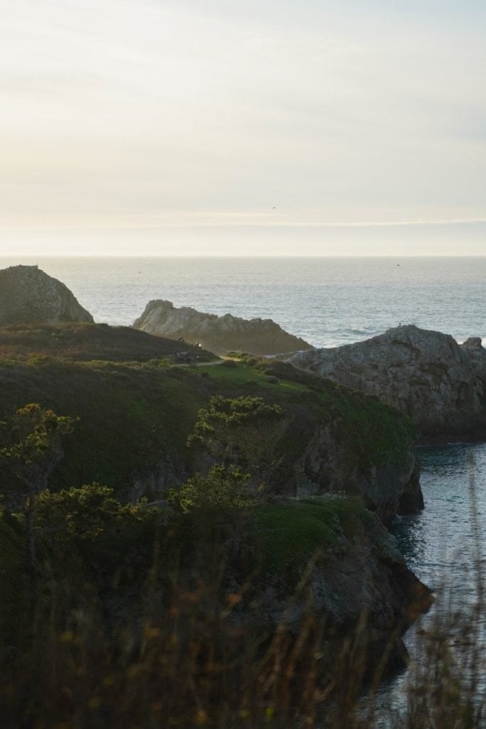 Tips For Visiting Point Lobos State Natural Reserve, Carmel