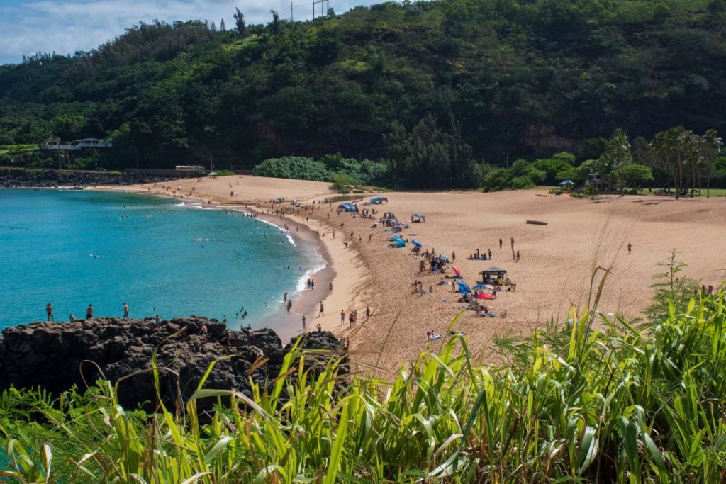 Waimea Bay Beach Park