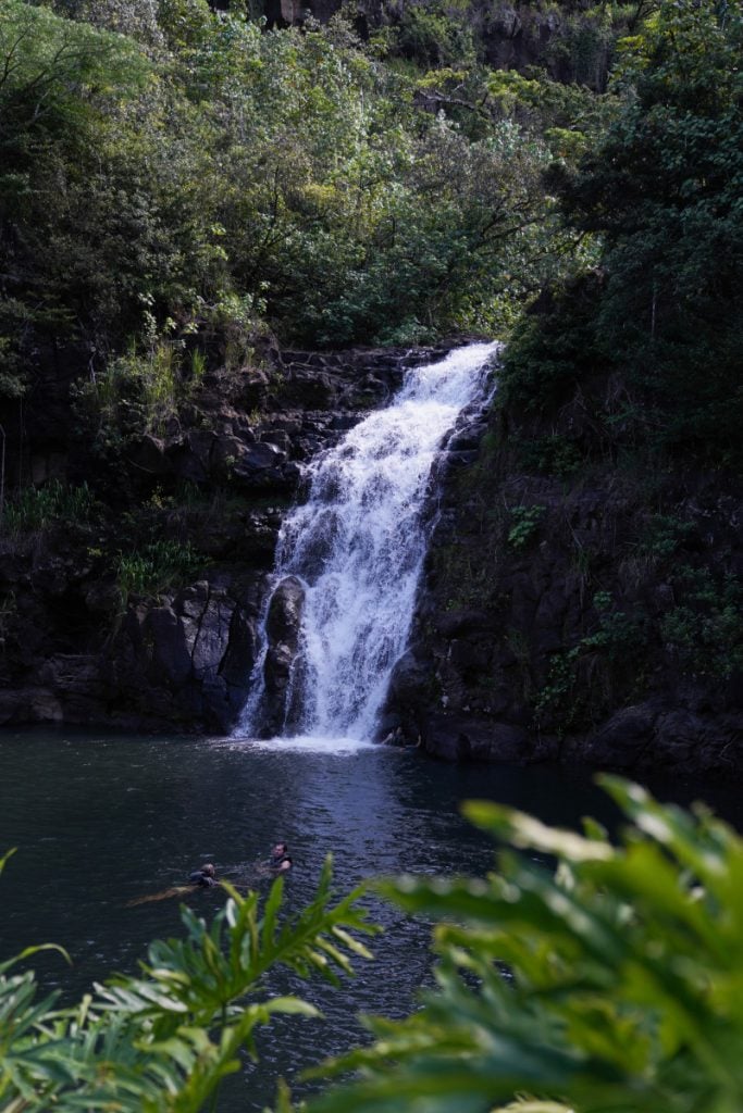 Things to Do on The North Shore of Oahu