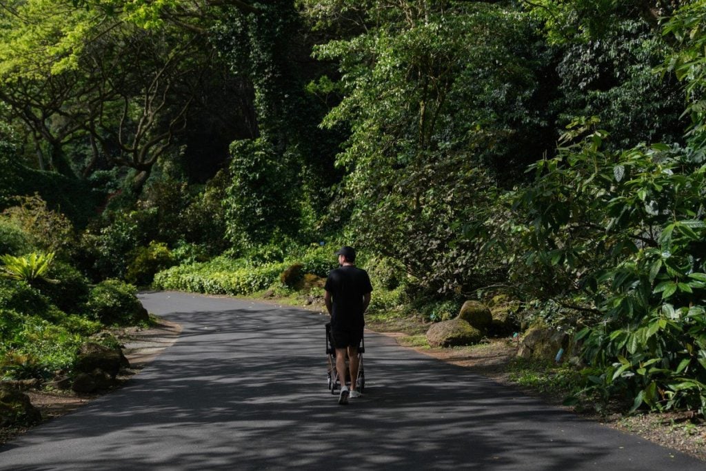 Toddler-Friendly Guide to Oahu, Hawaii
