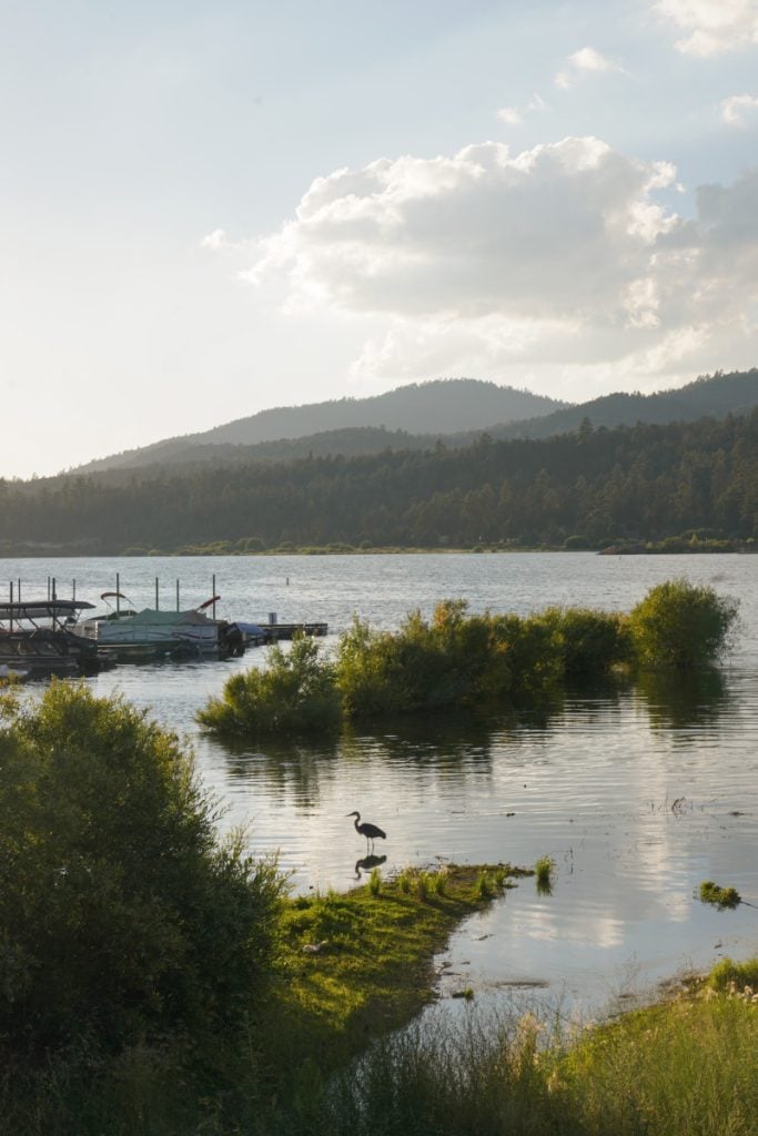 Southern California Road Trip Guide