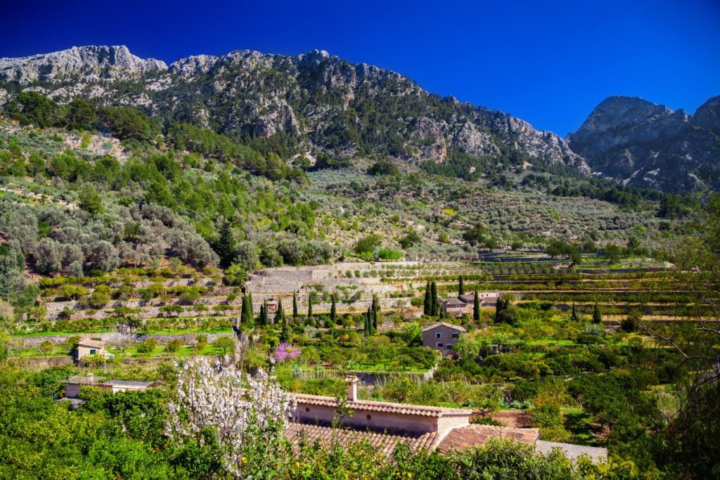 Where to Stay in Mallorca: Best Towns to Base Yourself