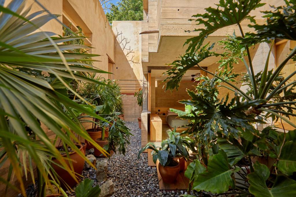 Hotel Escondido