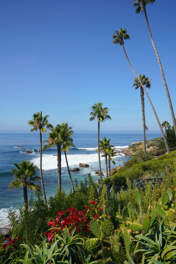 Southern California Road Trip Guide