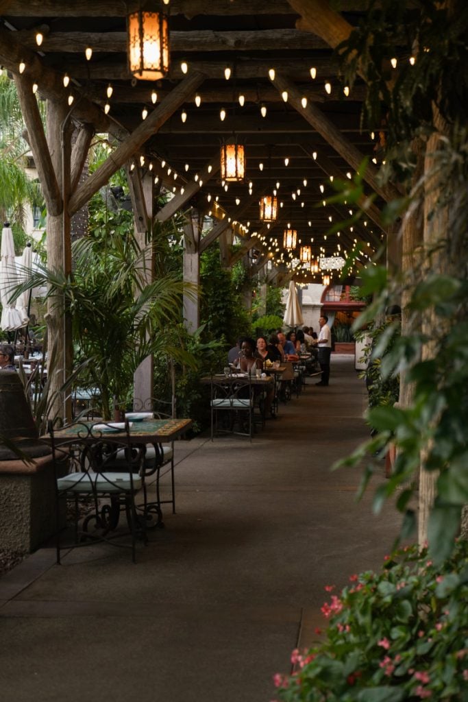 Southern California Road Trip Guide