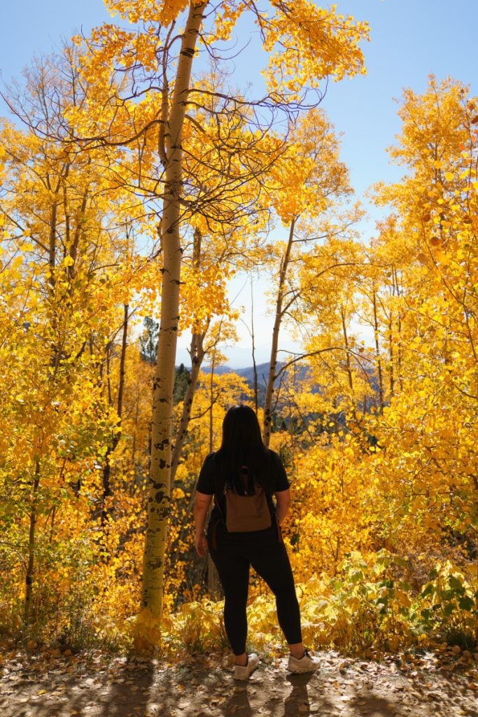 Things to Do in Santa Fe, New Mexico