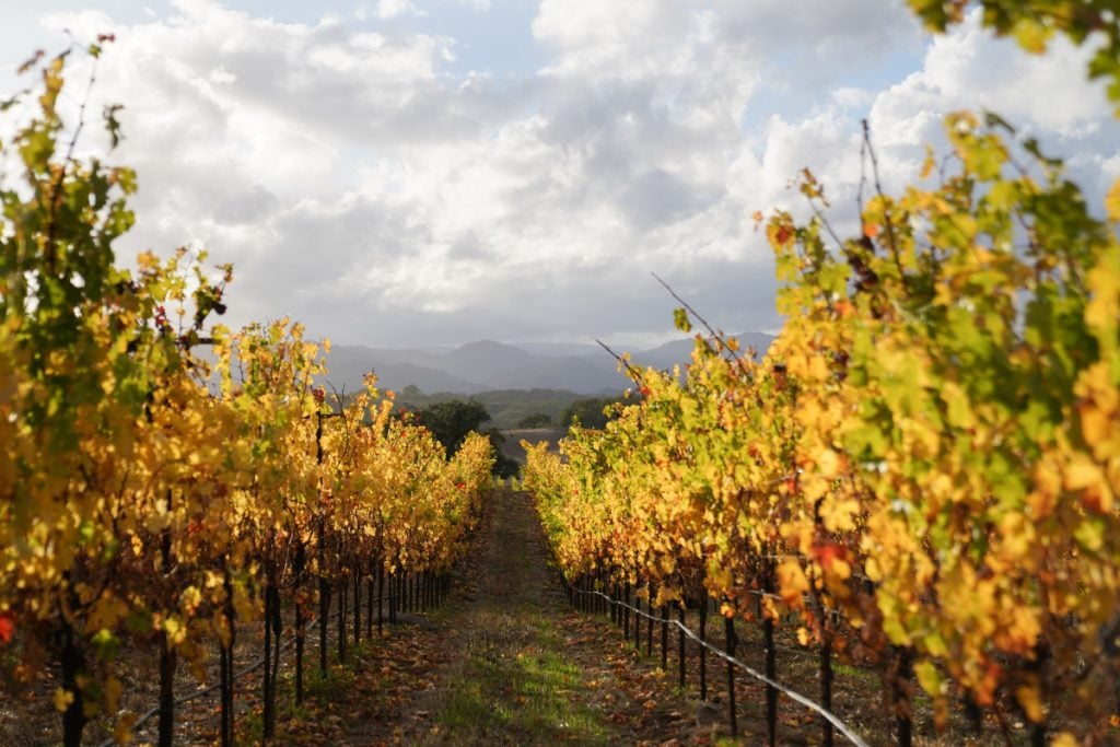 Jordan Winery in Healdsburg, California