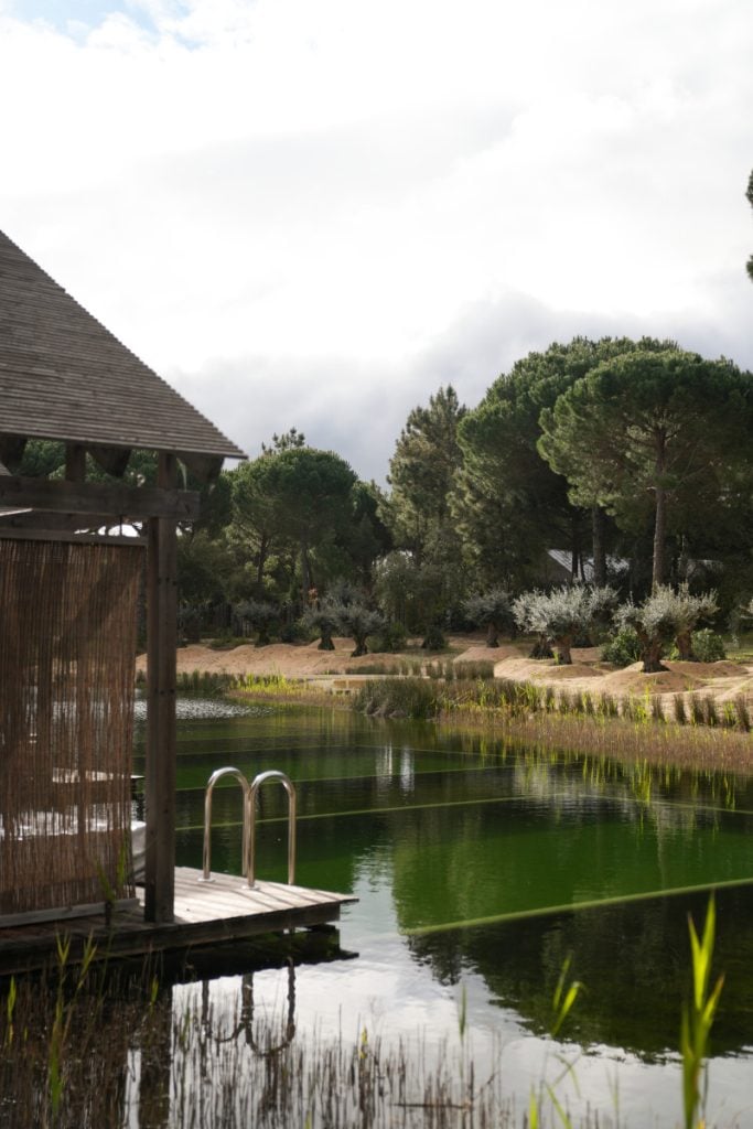 Comporta Travel Guide