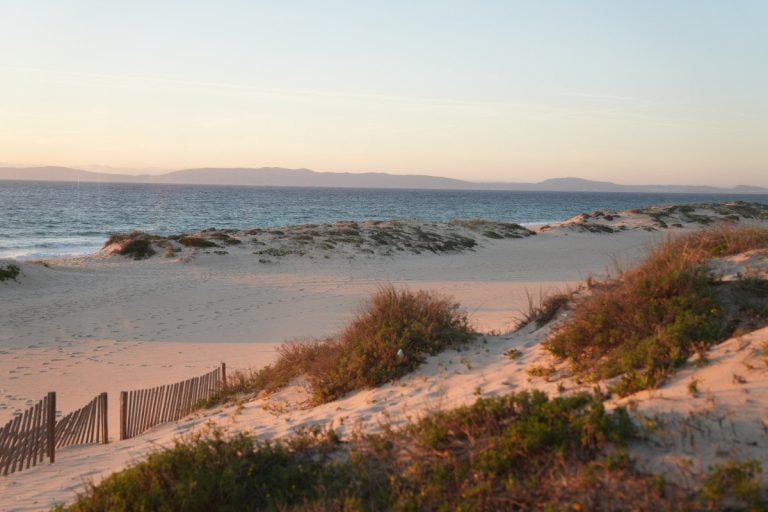 Ultimate Comporta Travel Guide: Portugal’s Secret Beach Town Comporta Travel Guide