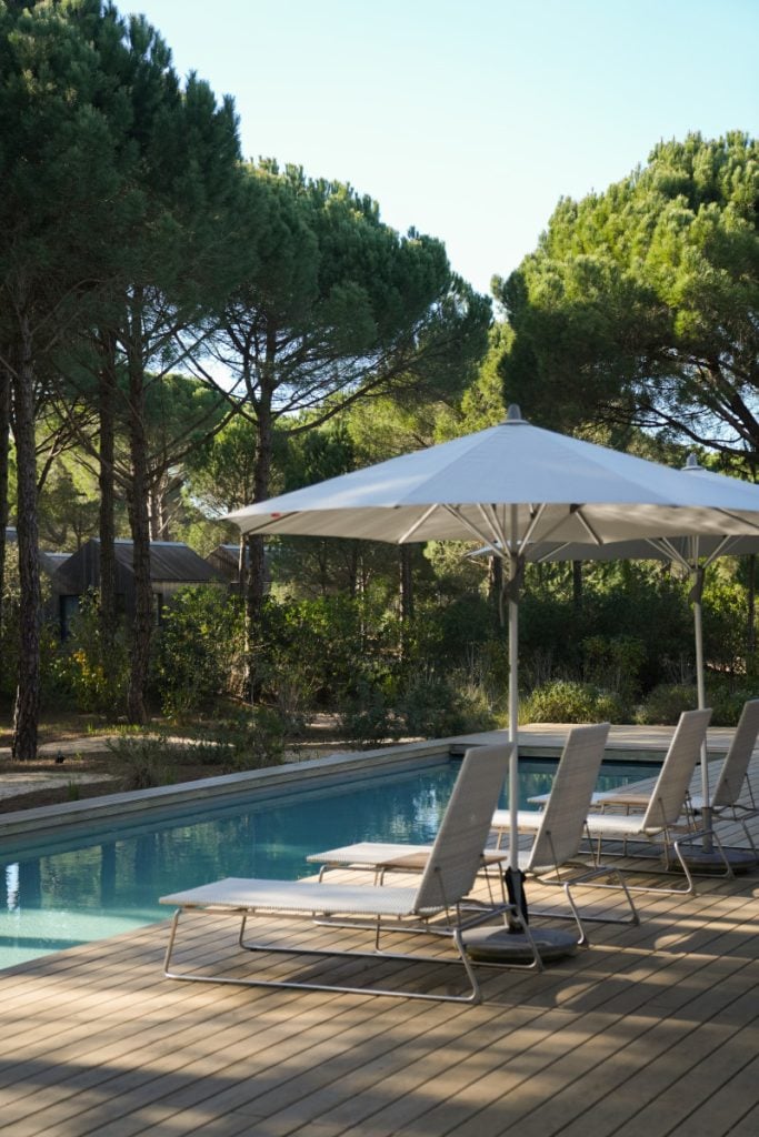 Comporta Travel Guide