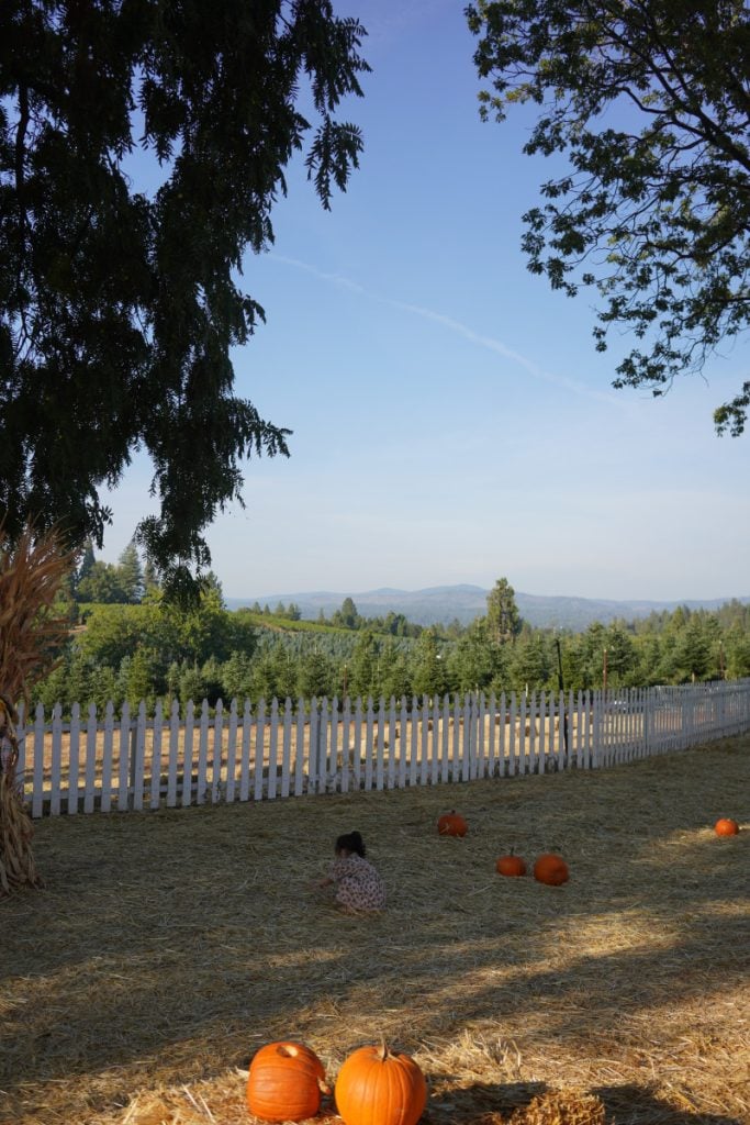 The Ultimate Weekend Guide to Placerville, California