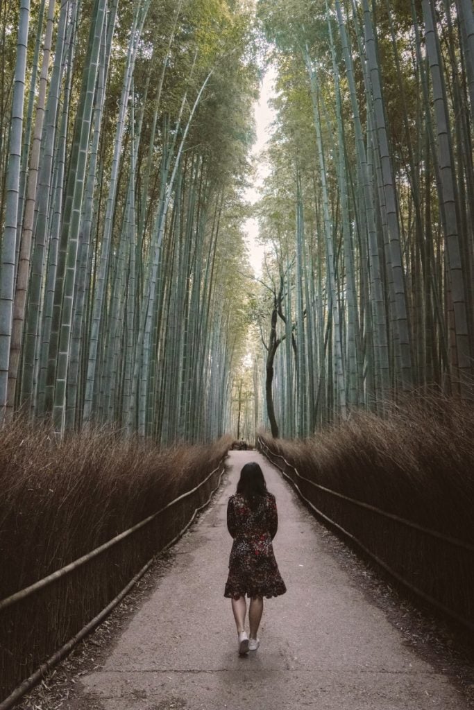 Kyoto 3 to 4 Day Itinerary