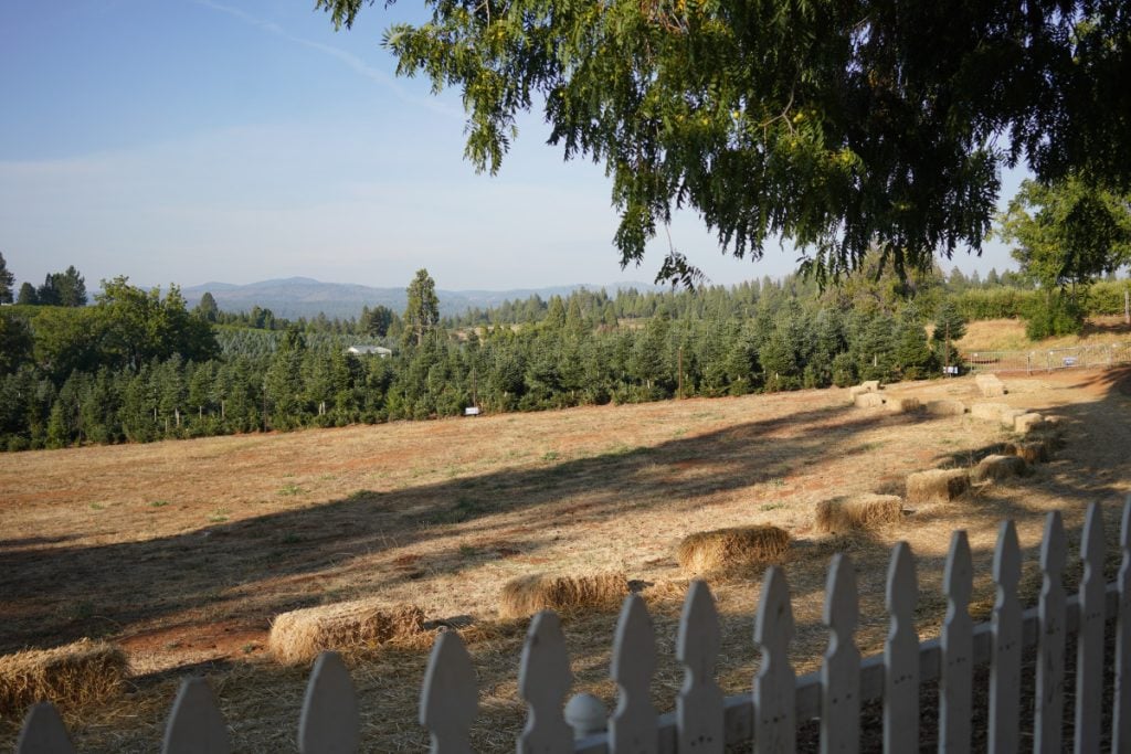 The Ultimate Weekend Guide to Placerville, California