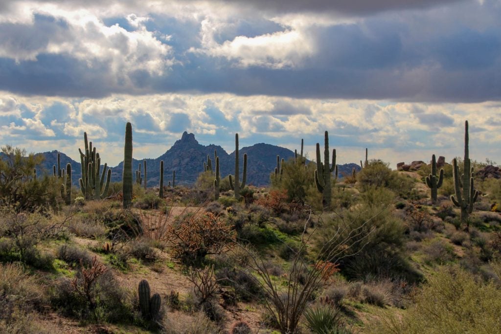 Things to Do in Scottsdale, Arizona