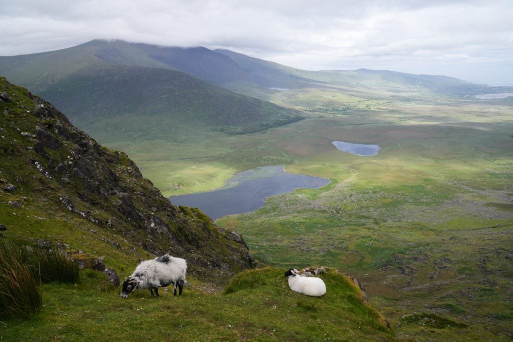 Guide to The Dingle Peninsula in A Day