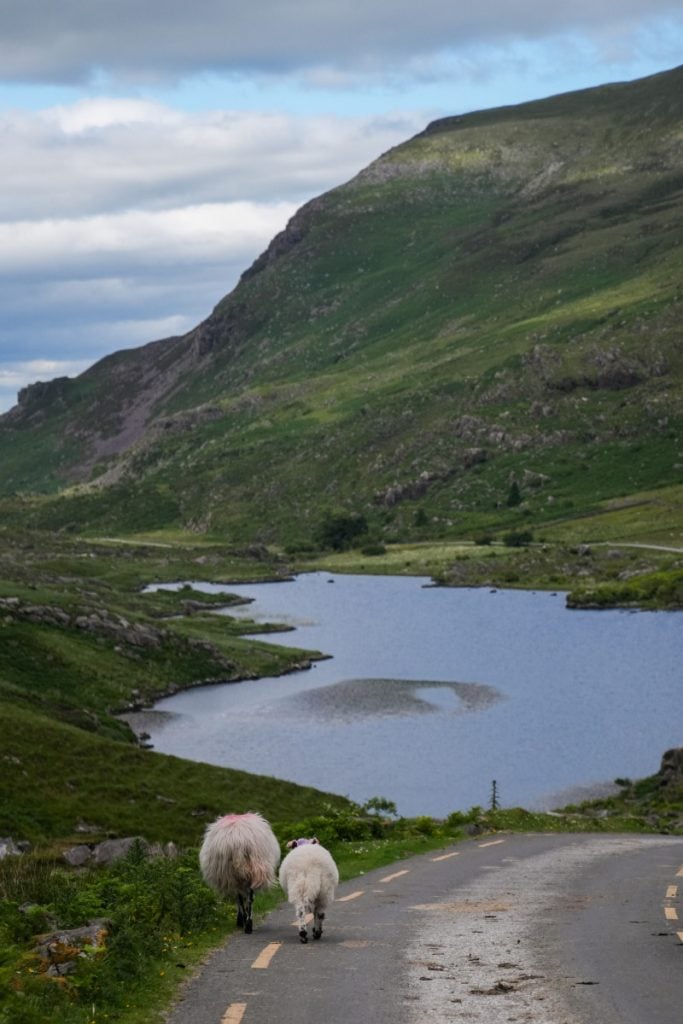 Ireland 8 to 10 Days Itinerary