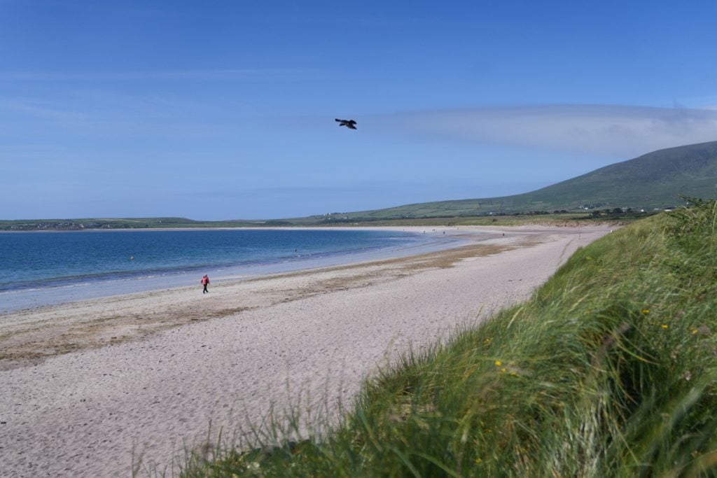 Guide to The Dingle Peninsula in A Day