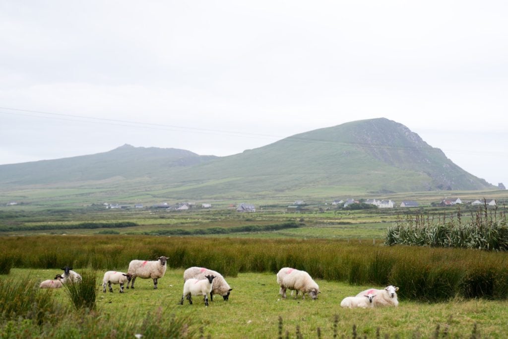Ireland 8 to 10 Days Itinerary